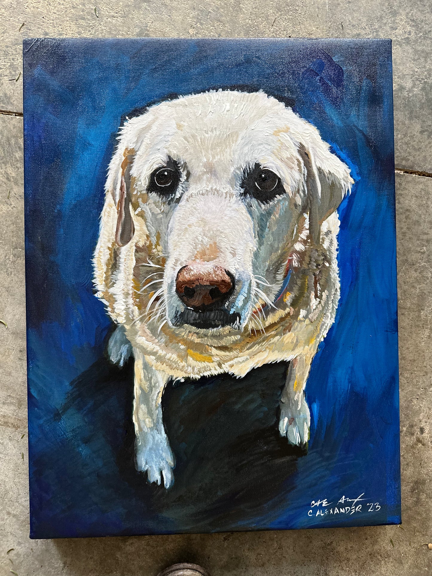 Custom Painted Dog Portraits