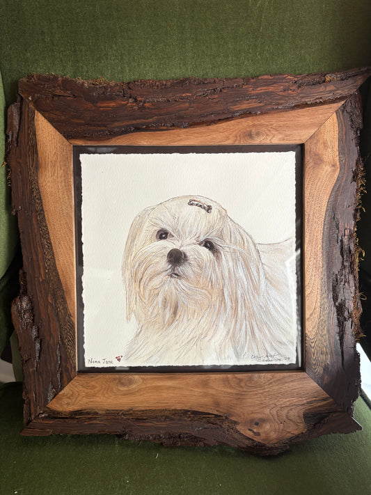 Custom Watercolor Pet Portraits (dog, cat, etc.)