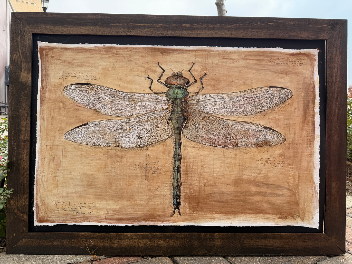 Lift Me in the Light (Dragonfly)