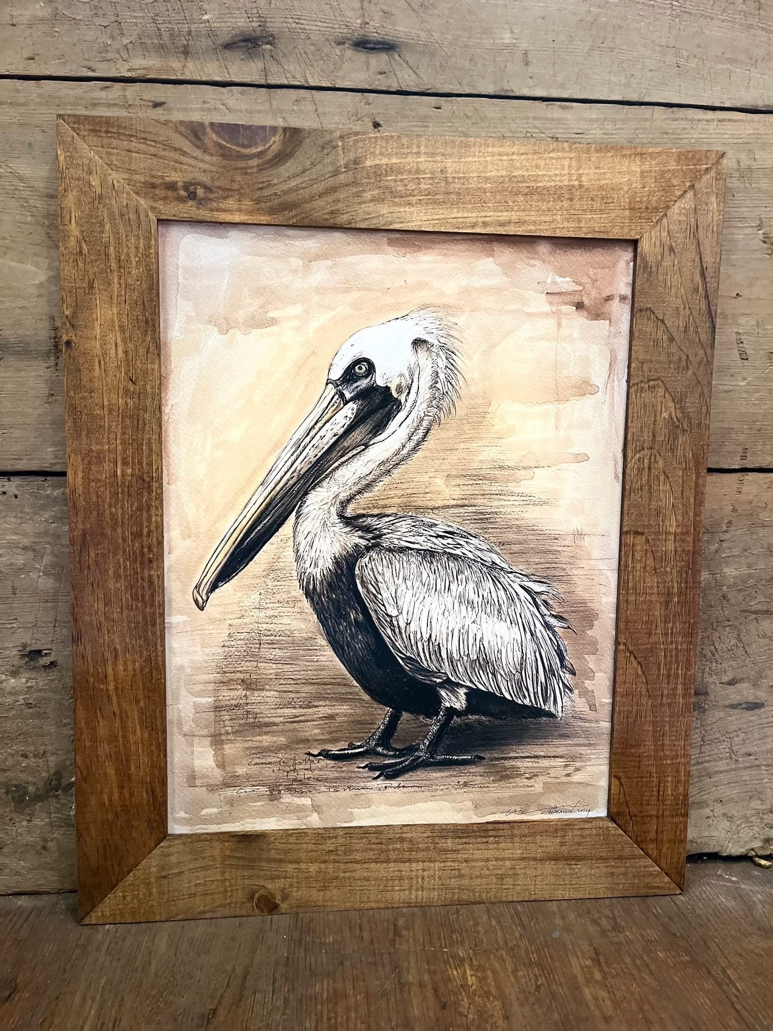 Louisiana Brown Pelican – Candice Alexander Art Studio