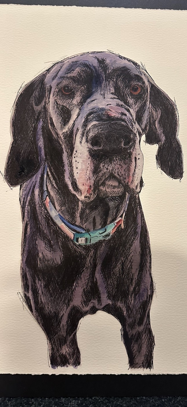 Custom Watercolor Pet Portraits (dog, cat, etc.)