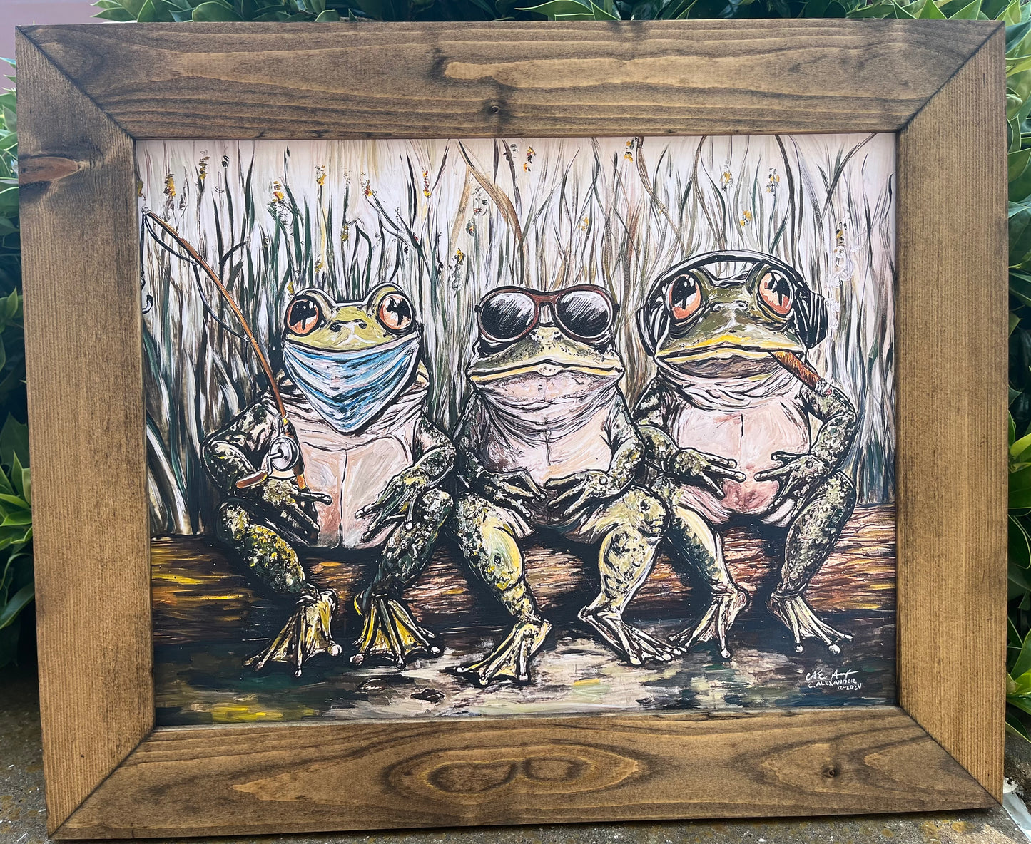 Speak, See, and Hear No Evil Frogs