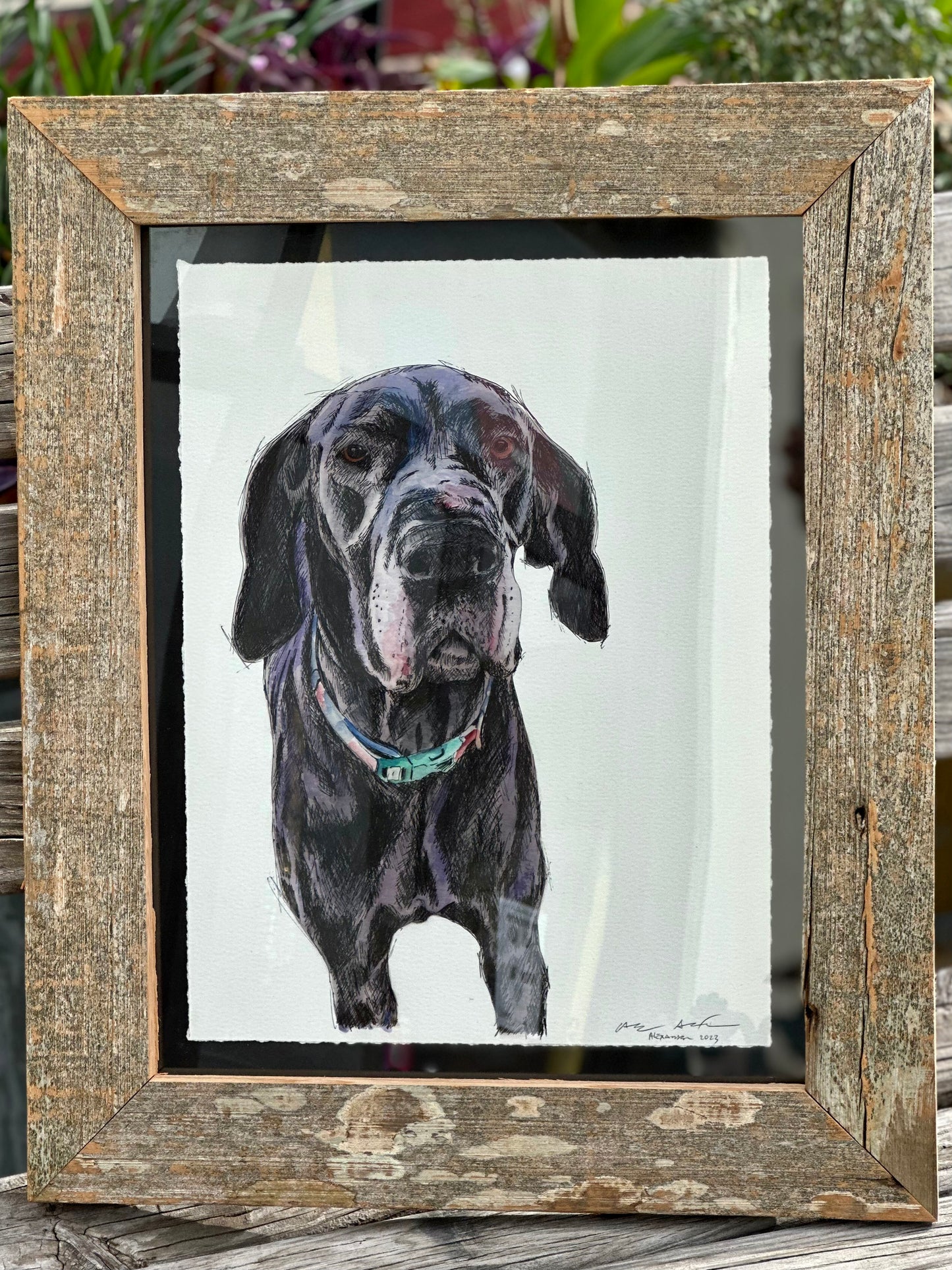 Custom Watercolor Pet Portraits (dog, cat, etc.)