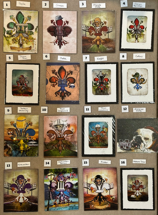 Fleur de Lis College Sports Collection