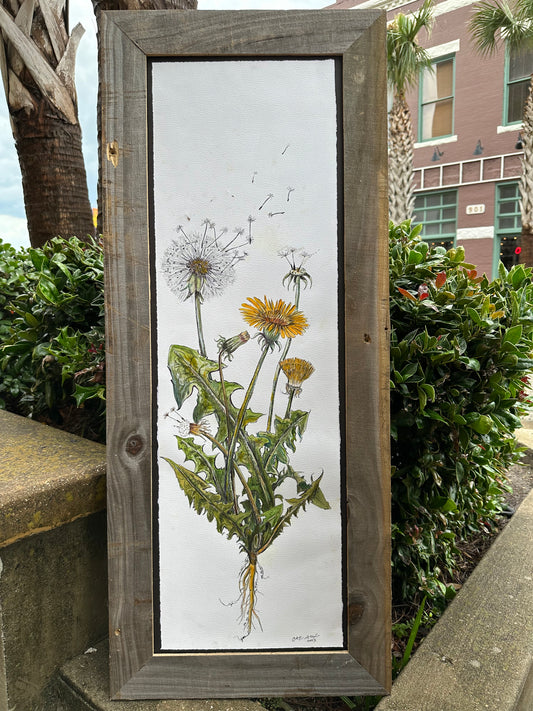 Dandelion