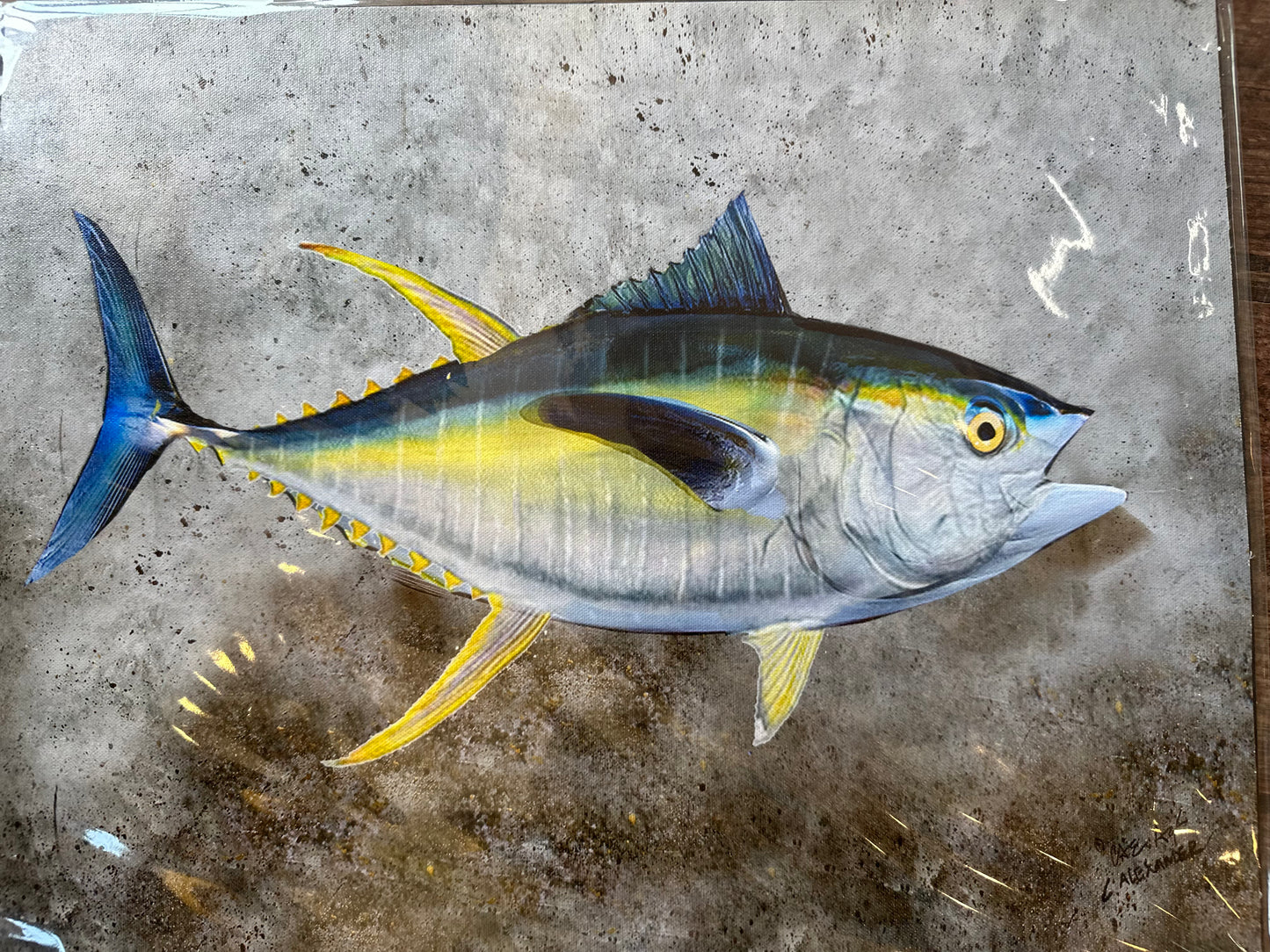 Yellowfin Tuna