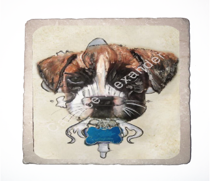 Boxer