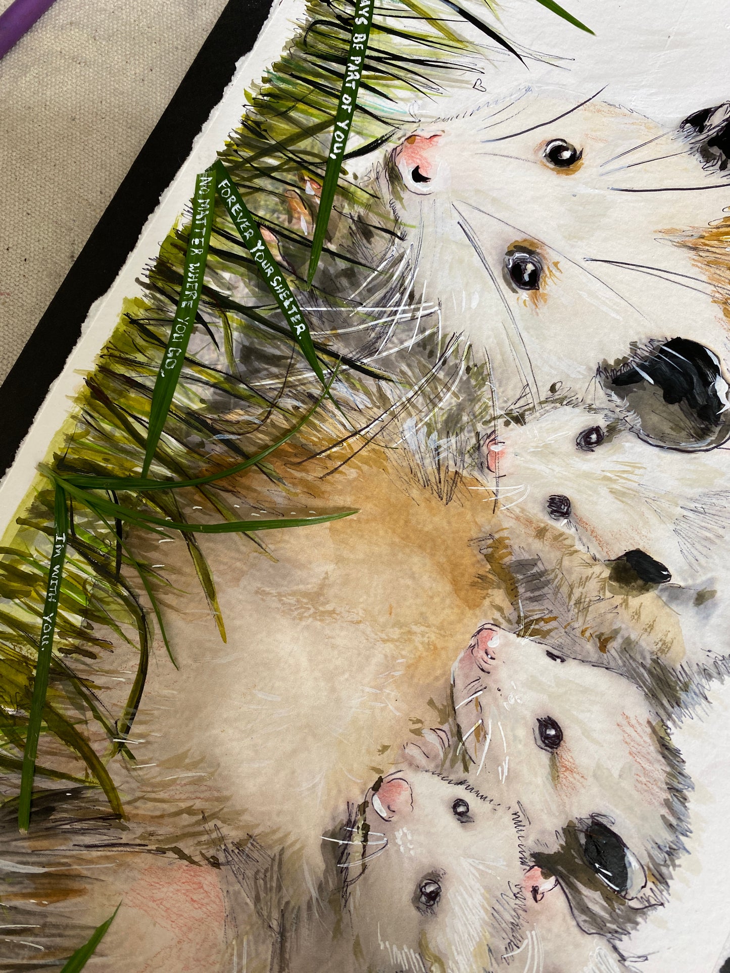 Candice Alexander, Alexander Art, Art, Louisiana, Wild Flowers, Mountain, Flowers, Lake Charles, Calcasieu Parish, Southwest, Opossum, family, children, Edit alt text