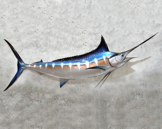 Candice Alexander, Alexander, Art, Studio, Louisiana, Lake Charles, Calcasieu, Parish,Painting, Print, Picture, Atlantic, Blue, Marlin, Blue Marlin, Marlin, New Orleans, Golden Nugget, Seabrook, Texas, Gulf of Mexico, Fishing, Ship, Restaurant,