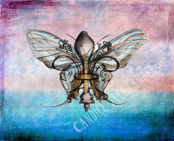 Butterfly (Blue/Purple) Background – Candice Alexander Art Studio