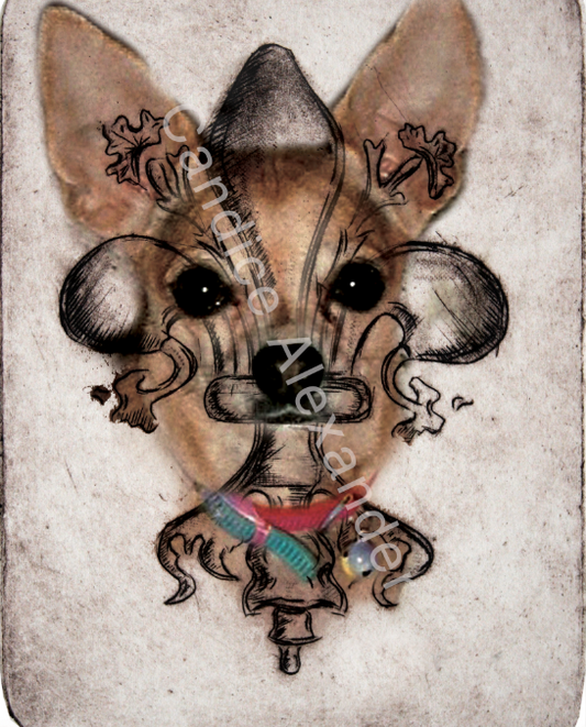 Chihuahua Fleur de Lis design by Candice Alexander, Fleur de Lis Artist Fleur De Lis art by Candice Alexander, Louisiana Artist