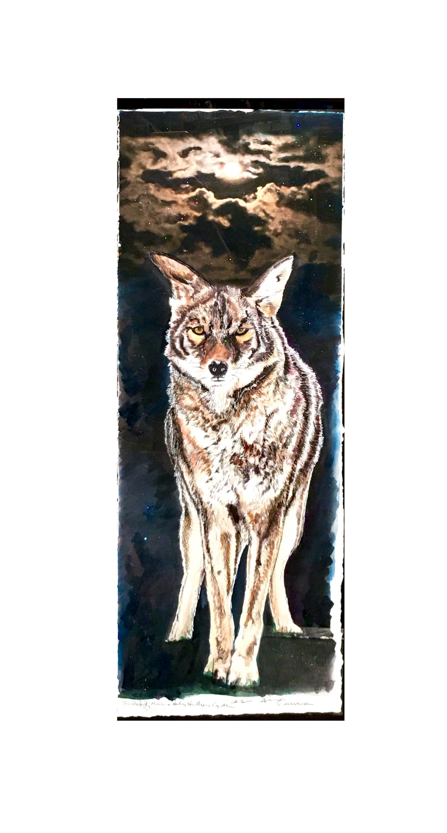 Candice Alexander, Alexander Art, Louisiana, Southwest Louisiana, Lake Charles, New Mexico, Full Moon, Coyote, United States