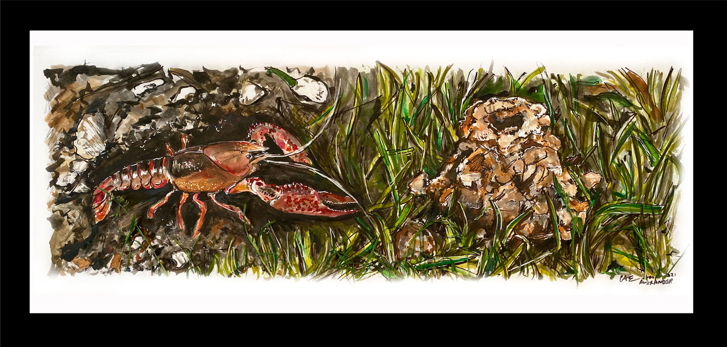 Candice Alexander, Alexander Art, Louisiana, Southwest Louisiana, Lake Charles, crawfish, Boats, Farming, Hathaway, Jennings, Southwest Louisiana, Crawfish season