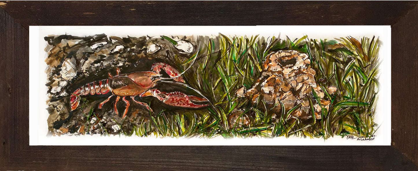 Candice Alexander, Alexander Art, Louisiana, Southwest Louisiana, Lake Charles, crawfish, Boats, Farming, Hathaway, Jennings, Southwest Louisiana, Crawfish season