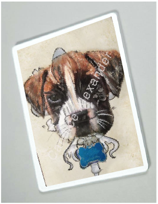 Boxer