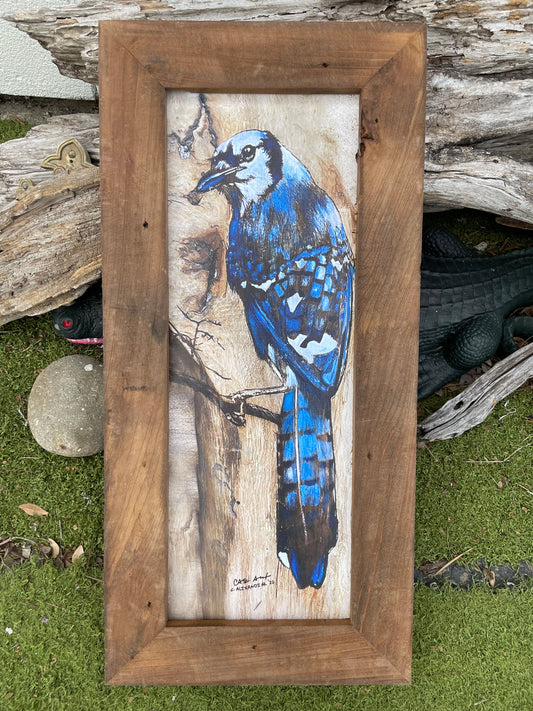 Bluejay Wood Engraving