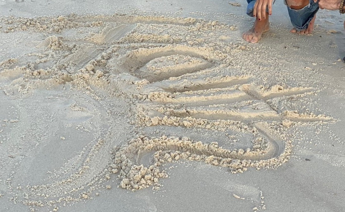 Candice Alexander, Fleur De Lis Artist, Lake Charles