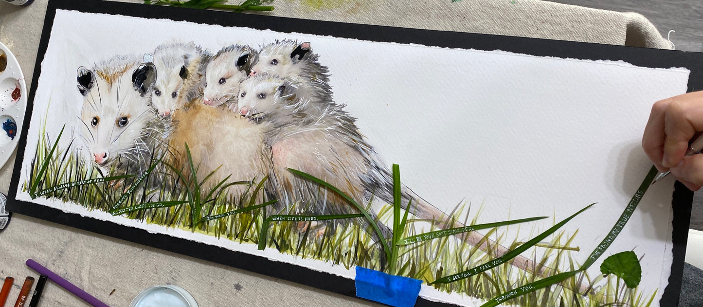 Candice Alexander, Alexander Art, Art, Louisiana, Wild Flowers, Mountain, Flowers, Lake Charles, Calcasieu Parish, Southwest, Opossum, family, children, Edit alt text