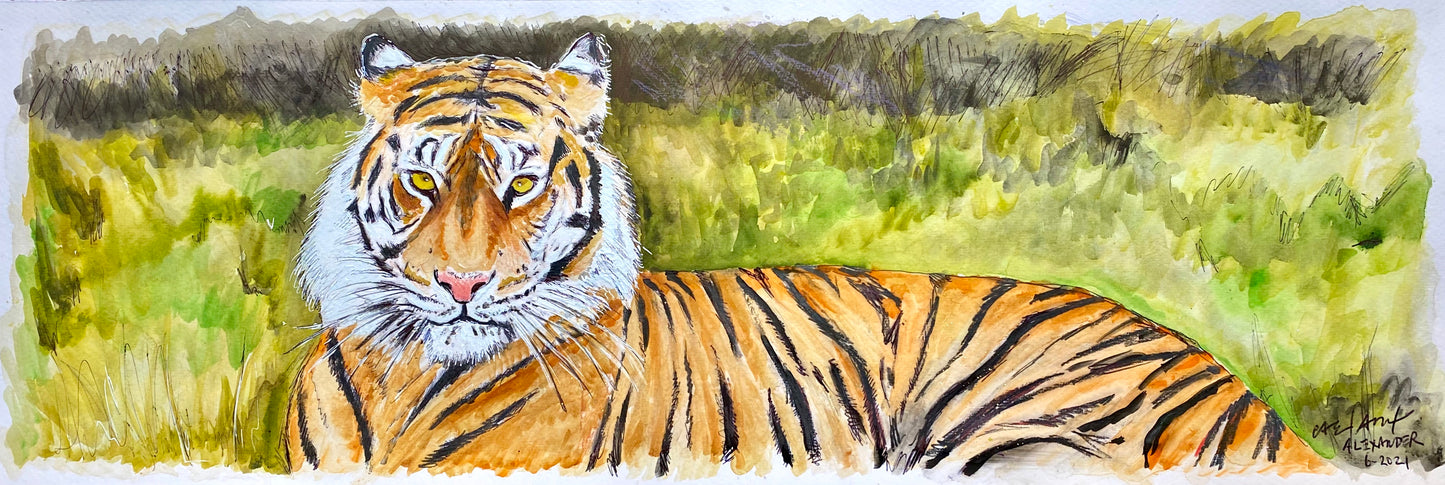 Baton Rouge, Louisiana, Mike the Tiger, LSU, Geaux Tiger, Alexander Art, Candice Alexander, Tiger, Lake Charles