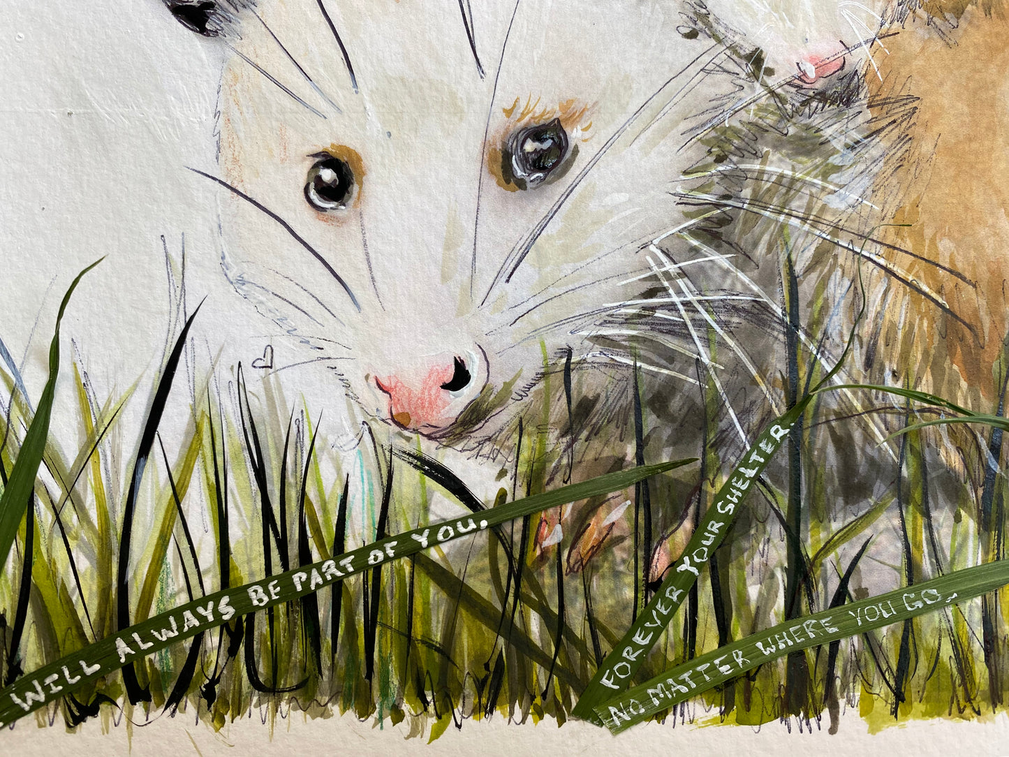 Candice Alexander, Alexander Art, Art, Louisiana, Wild Flowers, Mountain, Flowers, Lake Charles, Calcasieu Parish, Southwest, Opossum, family, children, Edit alt text