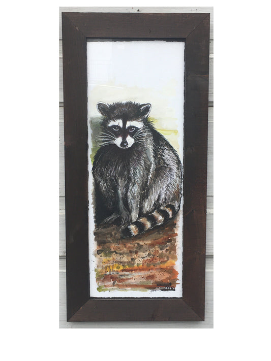 Candice Alexander, Alexander Art, Art, Louisiana, Lake Charles, Calcasieu Parish, Southwest,Raccoon