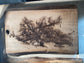 Sallier Oak Laser Engraving "One of a Kind"