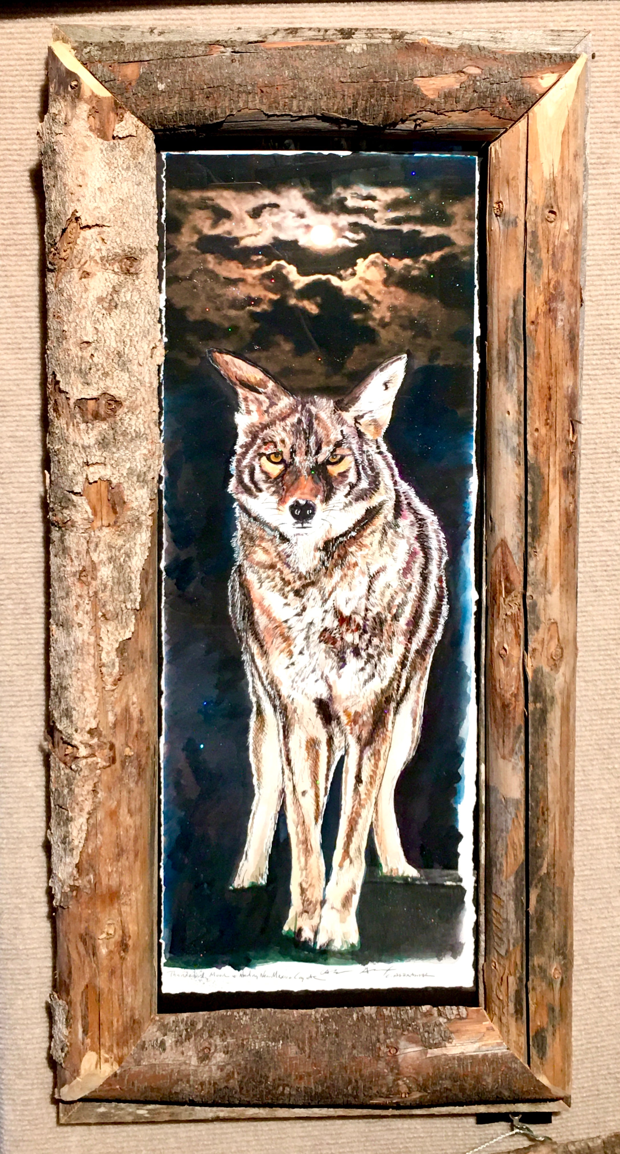 Coyote – Candice Alexander Art Studio