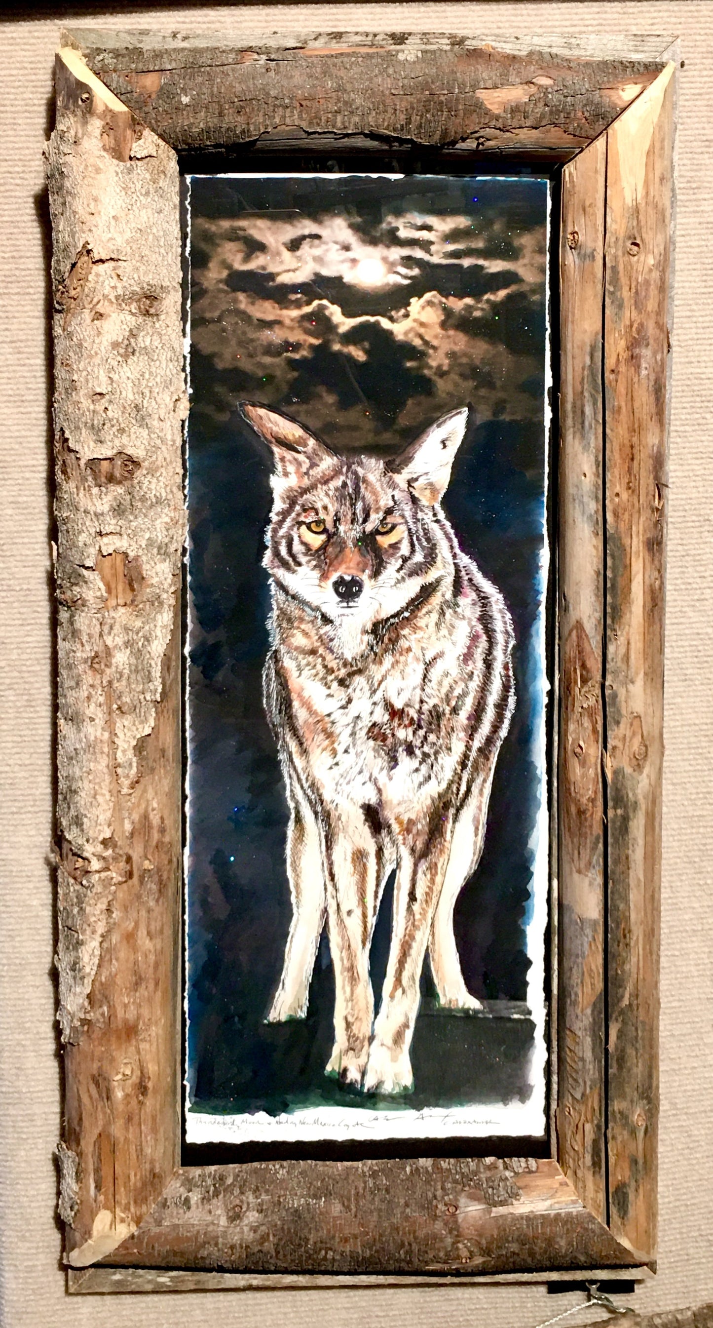 Candice Alexander, Alexander Art, Louisiana, Southwest Louisiana, Lake Charles, New Mexico, Full Moon, Coyote, United States