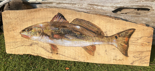 Redfish Wood Engraving Print