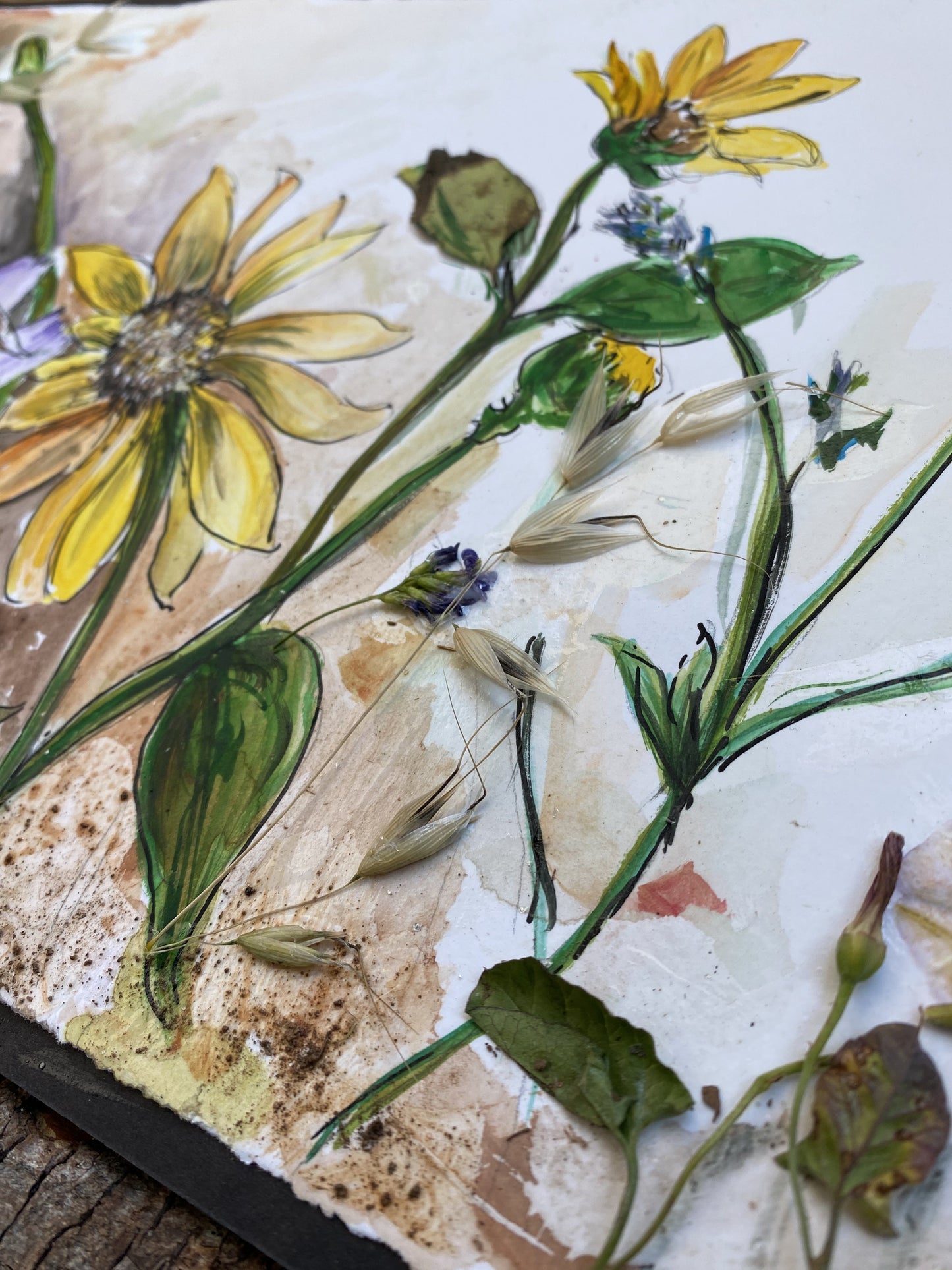 Candice Alexander, Alexander Art, Art, Louisiana, Wild Flowers, Mountain, Flowers, Lake Charles, Calcasieu Parish, Southwest, Arroyo Seco, Snow Mansion, Taos, New Mexico,