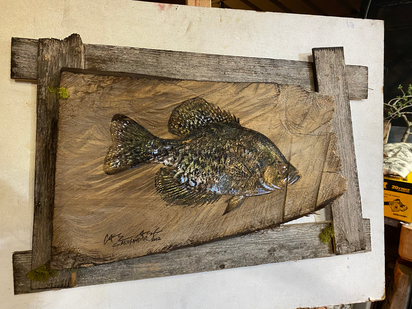 Crappie (Sac Au Lait) Wood Engraving "One of a Kind"