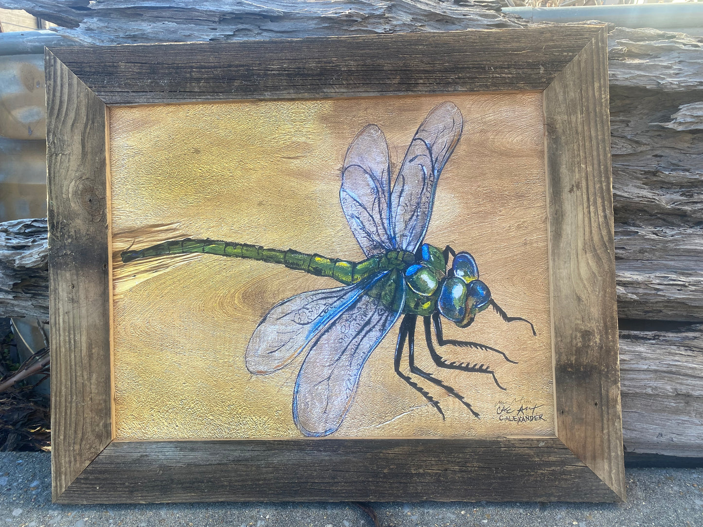 Dragonfly 2 Wood Engraving