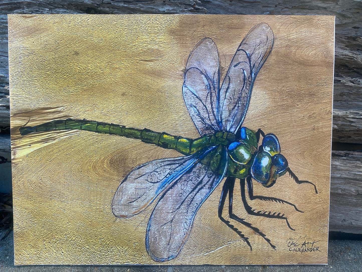 Dragonfly 2 Wood Engraving