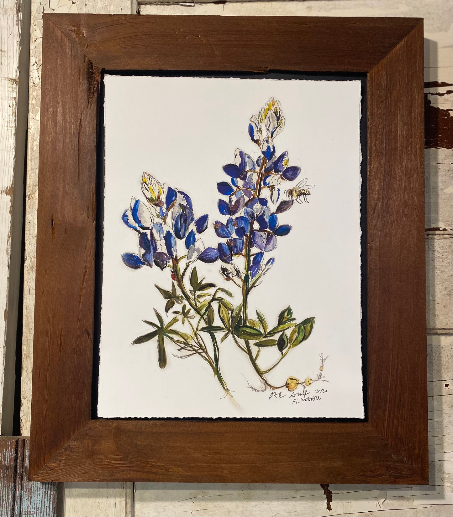 Watercolor Bluebonnets