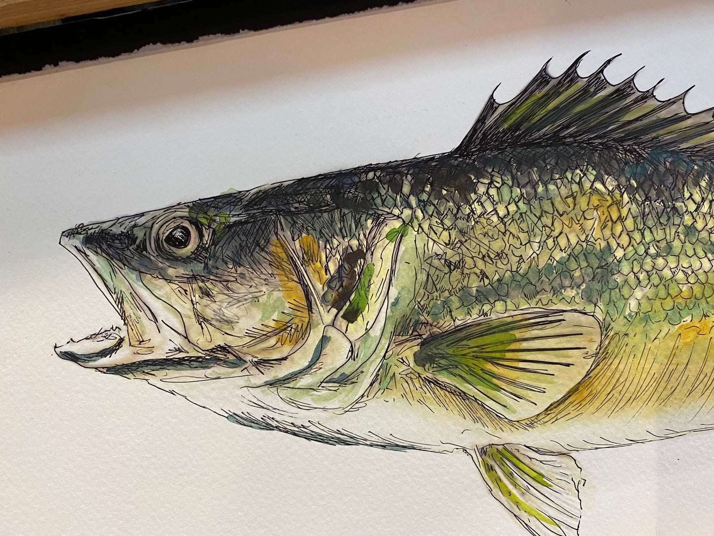 Michigan Walleye