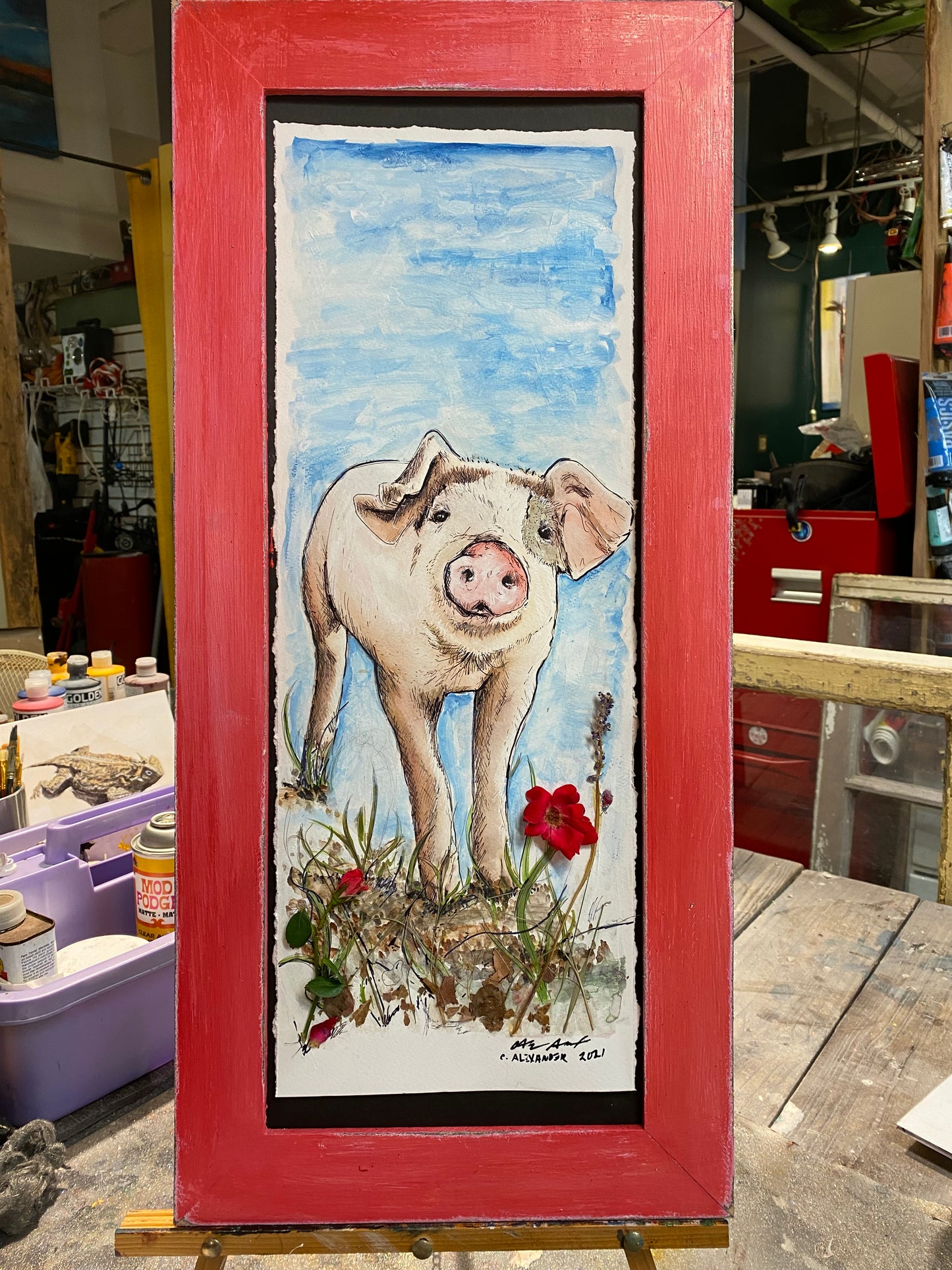 Rose Pig