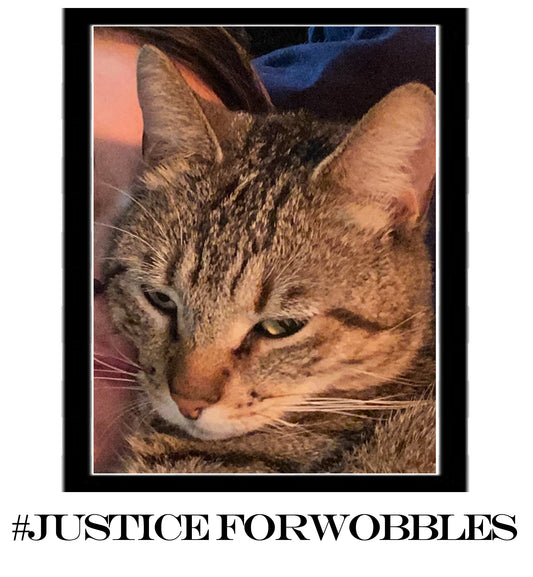 Justice for Wobbles