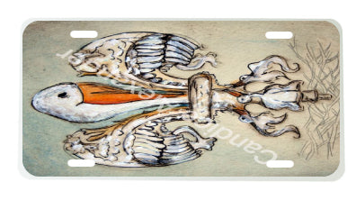 Pelican
