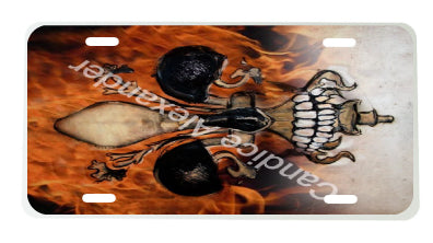 Skull with Flames