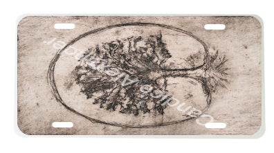 Tree of Life Circle