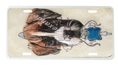 Boxer
