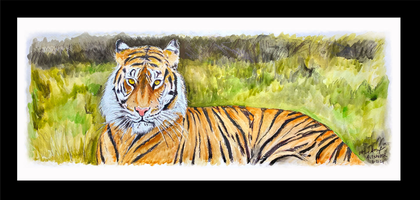 Baton Rouge, Louisiana, Mike the Tiger, LSU, Geaux Tiger, Alexander Art, Candice Alexander, Tiger, Lake Charles