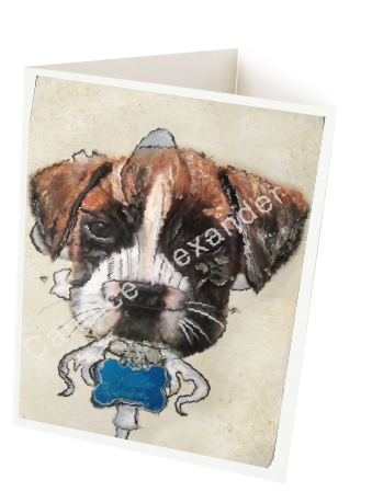 Boxer