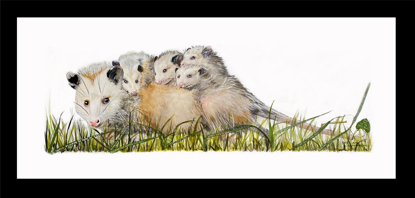 Candice Alexander, Alexander Art, Art, Louisiana, Wild Flowers, Mountain, Flowers, Lake Charles, Calcasieu Parish, Southwest, Opossum, family, children, Edit alt text