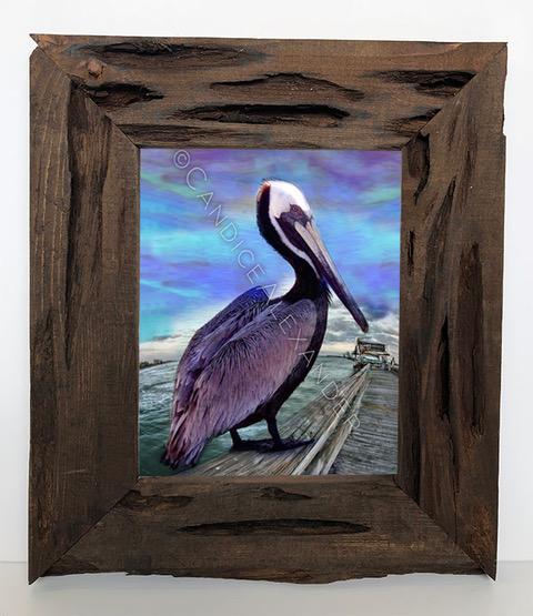 Candice Alexander Pelican Louisiana Cypress Frame