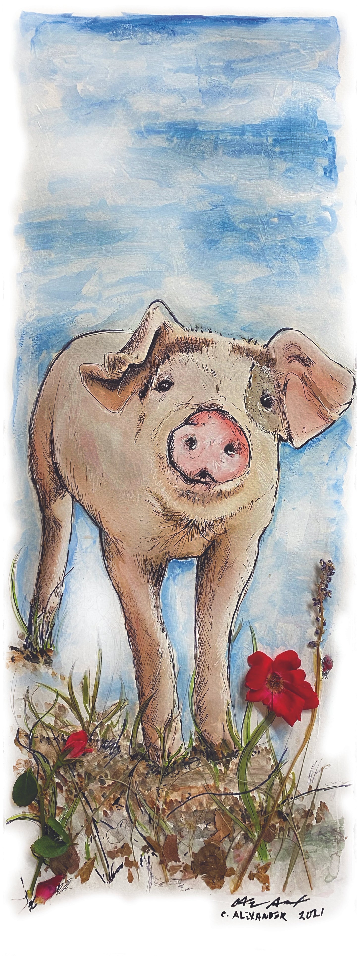 Rose Pig