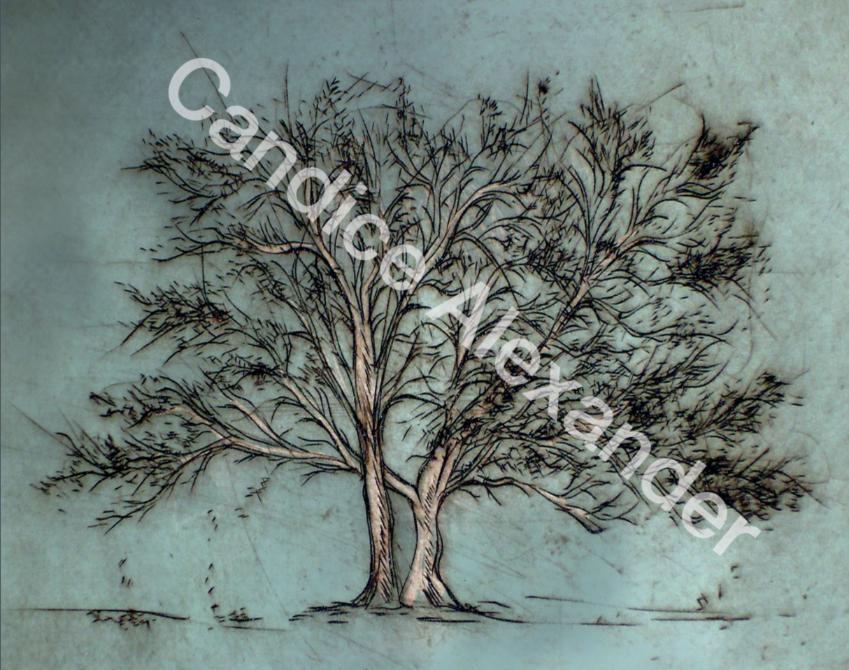 Tree of Life (Teal)