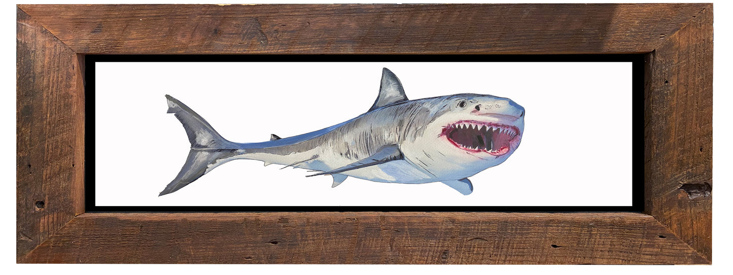 Shark