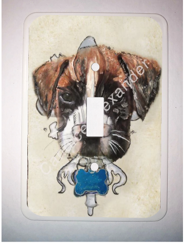 Boxer