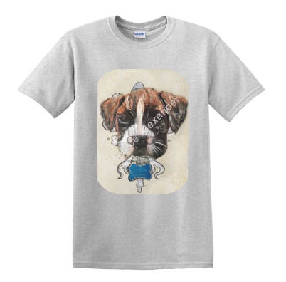 Boxer